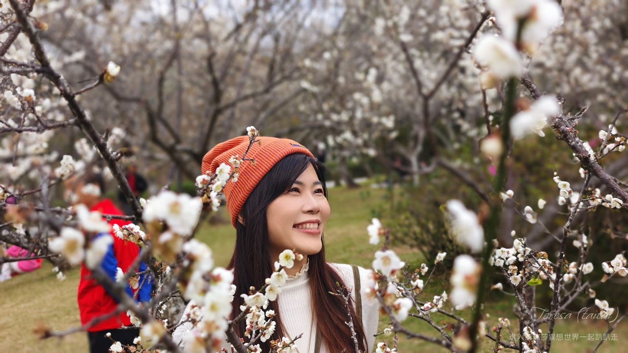 角板山公園賞梅趣