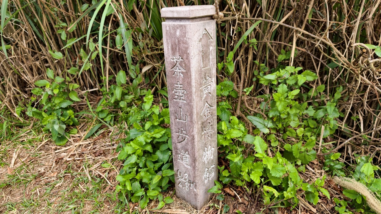 |新北瑞芳景點|無敵山海景&最佳芒草季賞芒景點瑞芳半屏山步道,短短800公尺讓你讚嘆哇不停~ - 第8張圖