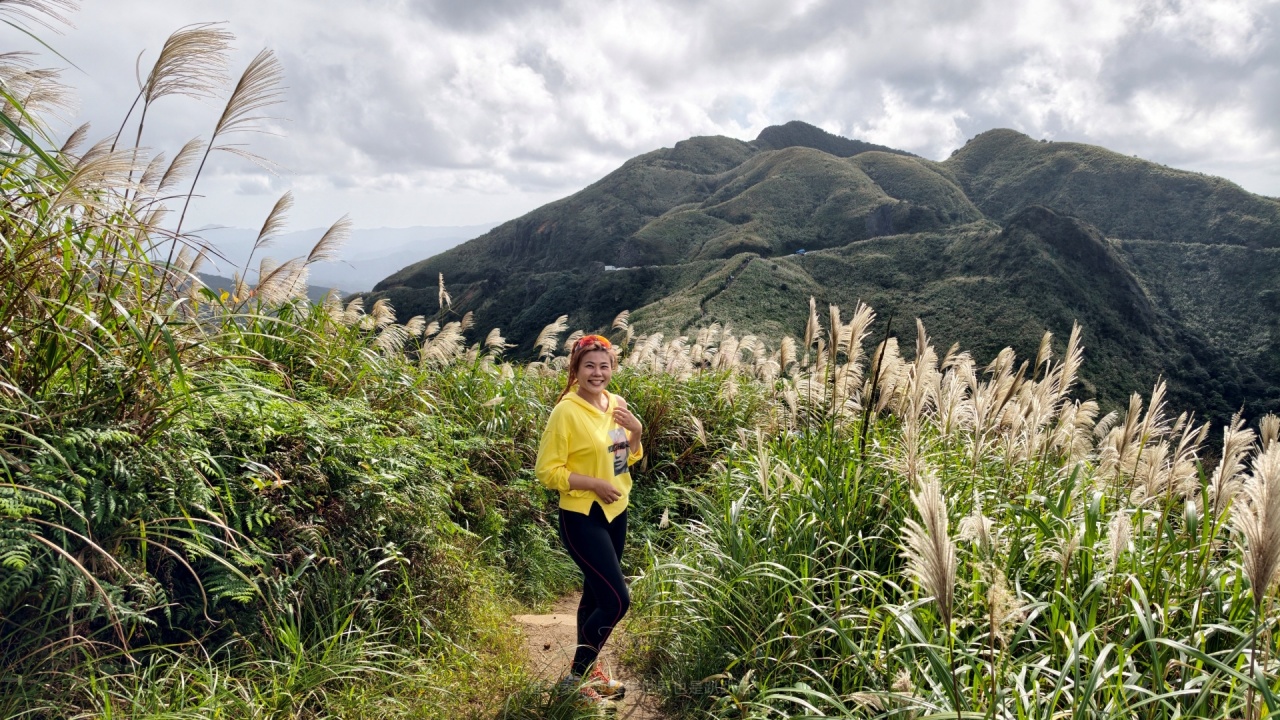 |新北瑞芳景點|無敵山海景&最佳芒草季賞芒景點瑞芳半屏山步道,短短800公尺讓你讚嘆哇不停~ - 第36張圖