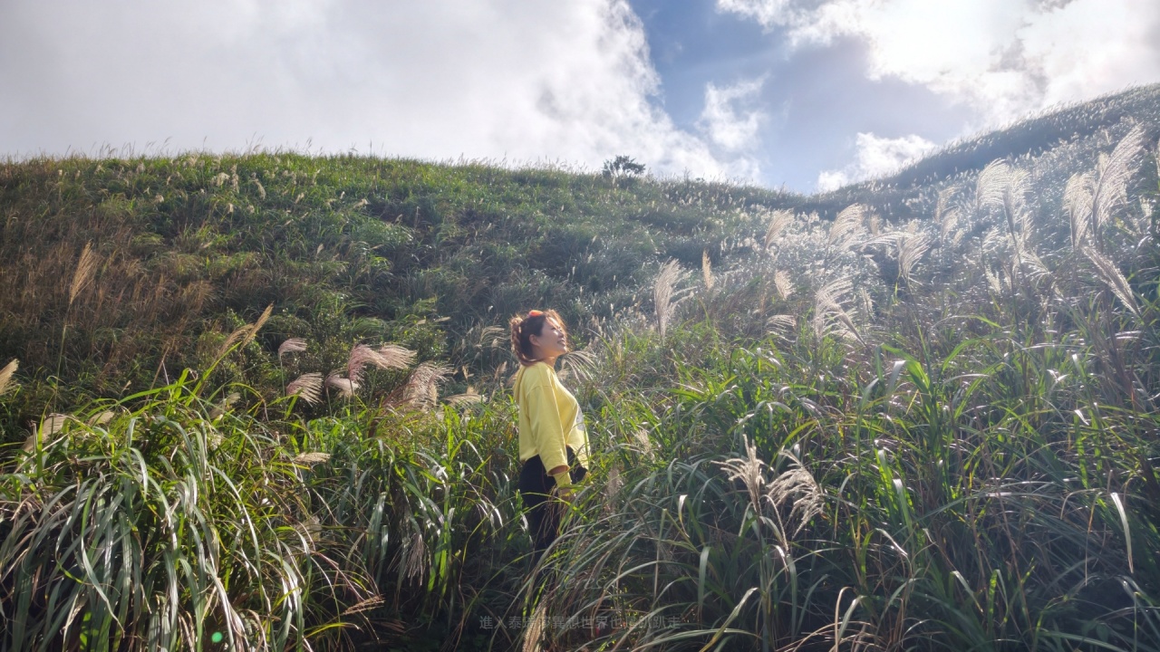 |新北瑞芳景點|無敵山海景&最佳芒草季賞芒景點瑞芳半屏山步道,短短800公尺讓你讚嘆哇不停~ - 第29張圖