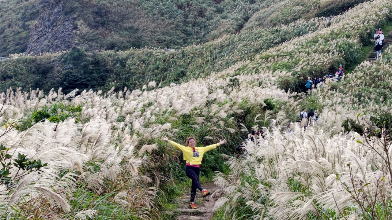 |新北瑞芳景點|無敵山海景&最佳芒草季賞芒景點瑞芳半屏山步道,短短800公尺讓你讚嘆哇不停~ - 第33張圖