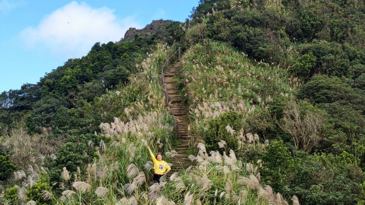 |新北瑞芳景點|無敵山海景&最佳芒草季賞芒景點瑞芳半屏山步道,短短800公尺讓你讚嘆哇不停~ - 第35張圖