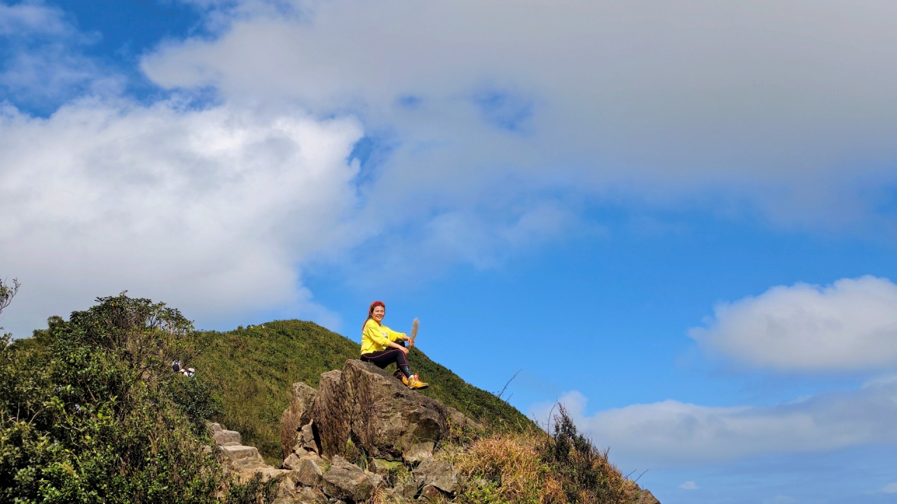 |新北瑞芳景點|無敵山海景&最佳芒草季賞芒景點瑞芳半屏山步道,短短800公尺讓你讚嘆哇不停~ - 第12張圖