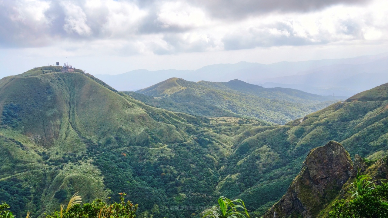 |新北瑞芳景點|無敵山海景&最佳芒草季賞芒景點瑞芳半屏山步道,短短800公尺讓你讚嘆哇不停~ - 第22張圖