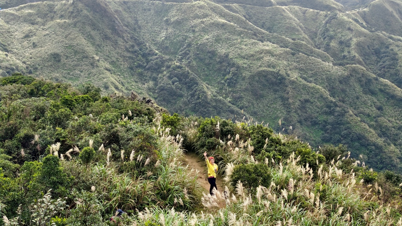 |新北瑞芳景點|無敵山海景&最佳芒草季賞芒景點瑞芳半屏山步道,短短800公尺讓你讚嘆哇不停~ - 第27張圖