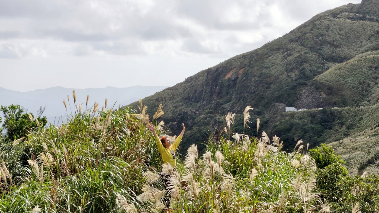 |新北瑞芳景點|無敵山海景&最佳芒草季賞芒景點瑞芳半屏山步道,短短800公尺讓你讚嘆哇不停~ - 第28張圖