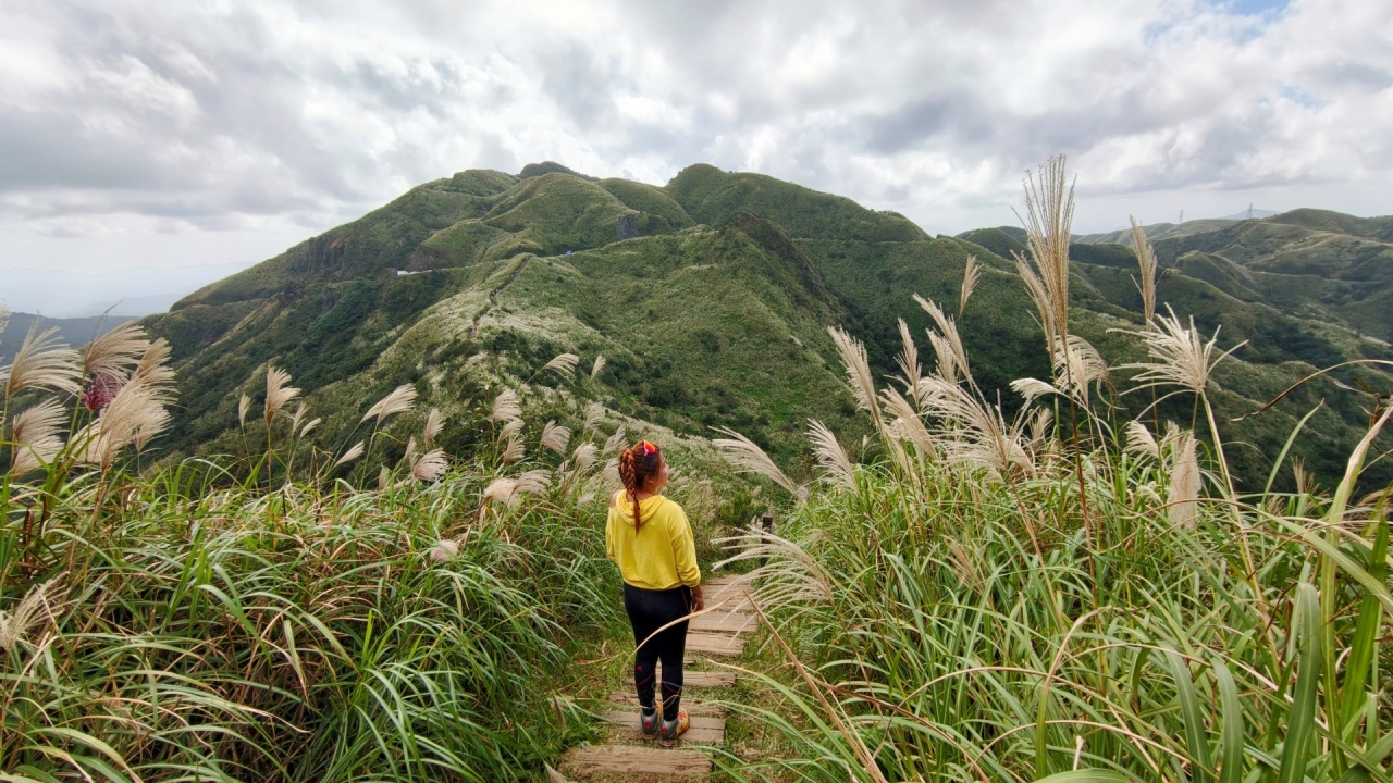 |新北瑞芳景點|無敵山海景&最佳芒草季賞芒景點瑞芳半屏山步道,短短800公尺讓你讚嘆哇不停~ - 第31張圖