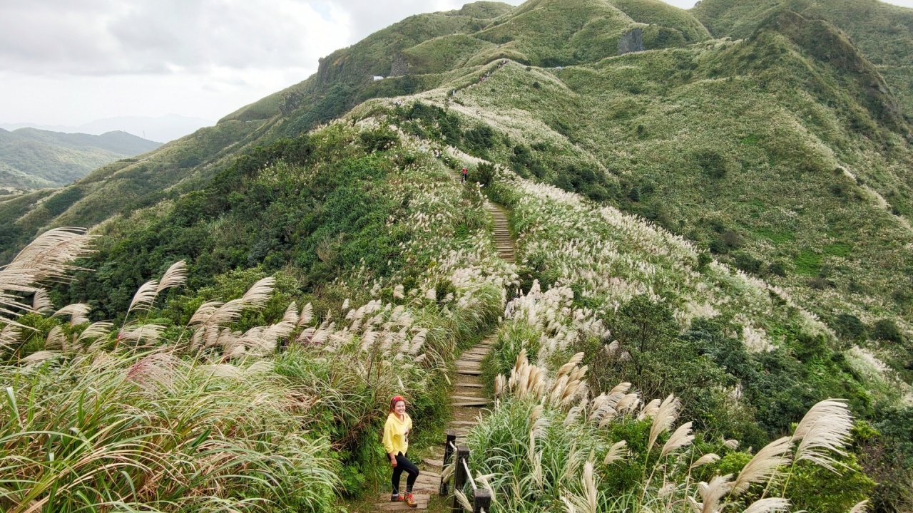 |新北瑞芳景點|無敵山海景&最佳芒草季賞芒景點瑞芳半屏山步道,短短800公尺讓你讚嘆哇不停~ - 第2張圖