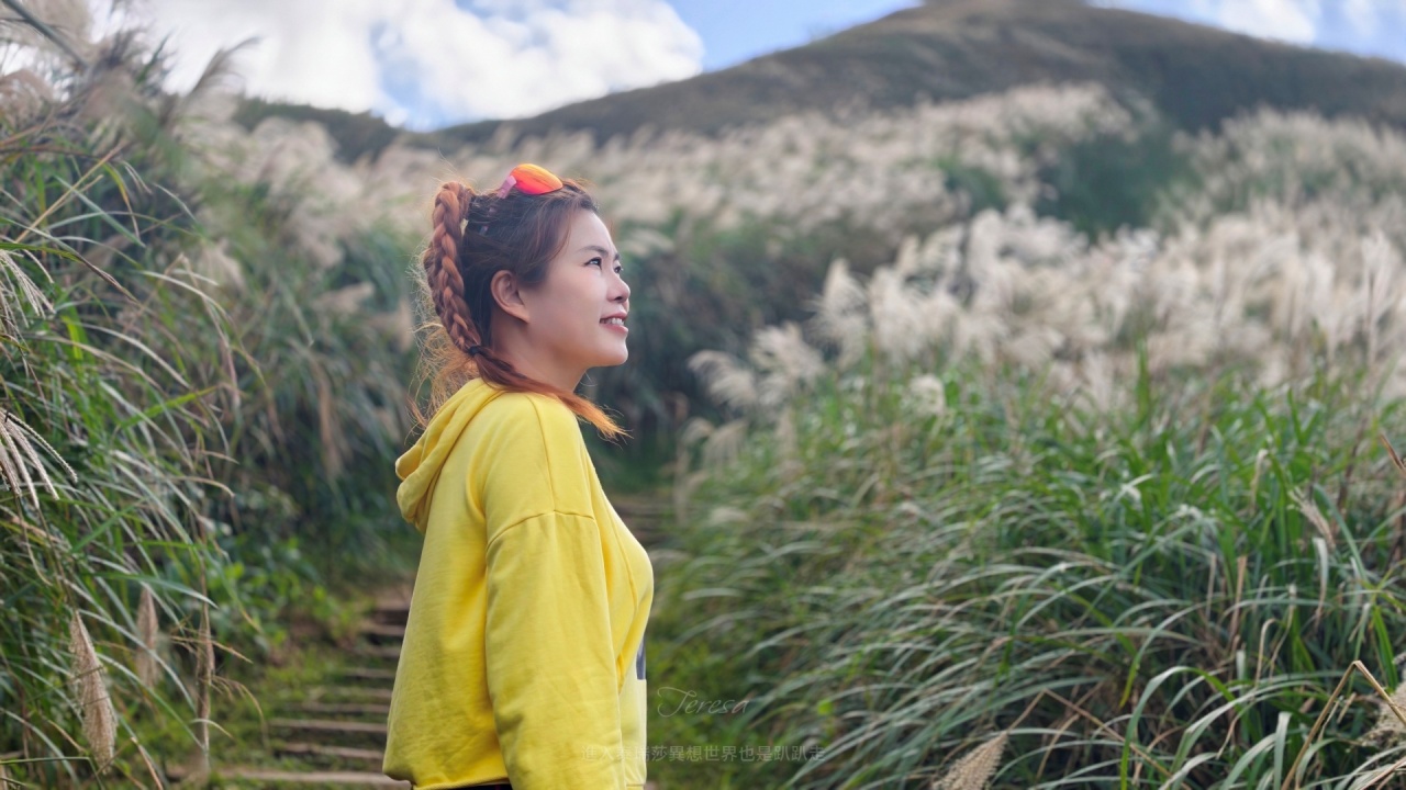|新北瑞芳景點|無敵山海景&最佳芒草季賞芒景點瑞芳半屏山步道,短短800公尺讓你讚嘆哇不停~ - 第1張圖 瑞芳半屏山步道