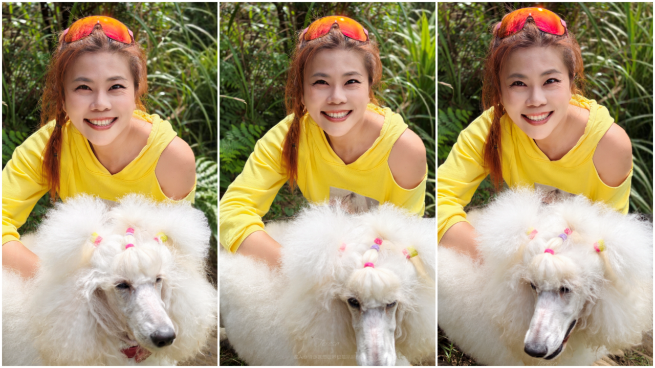 |新北瑞芳景點|無敵山海景&最佳芒草季賞芒景點瑞芳半屏山步道,短短800公尺讓你讚嘆哇不停~ - 第9張圖