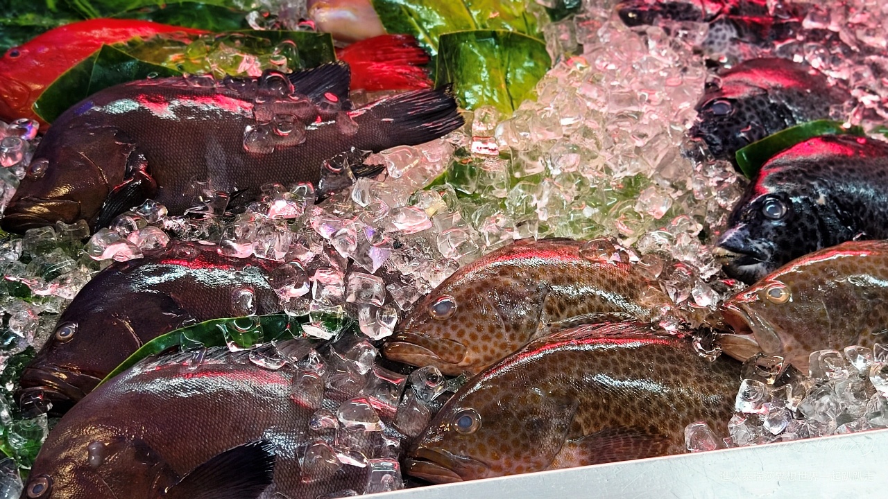 |新北貢寮美食|東北角海鮮餐廳心中No 1的嘉邑海鮮小館,食材新鮮經濟實惠又好吃~ - 第12張圖 |新北貢寮美食|東北角海鮮餐廳心中No 1的嘉邑海鮮小館,食材新鮮經濟實惠又好吃~