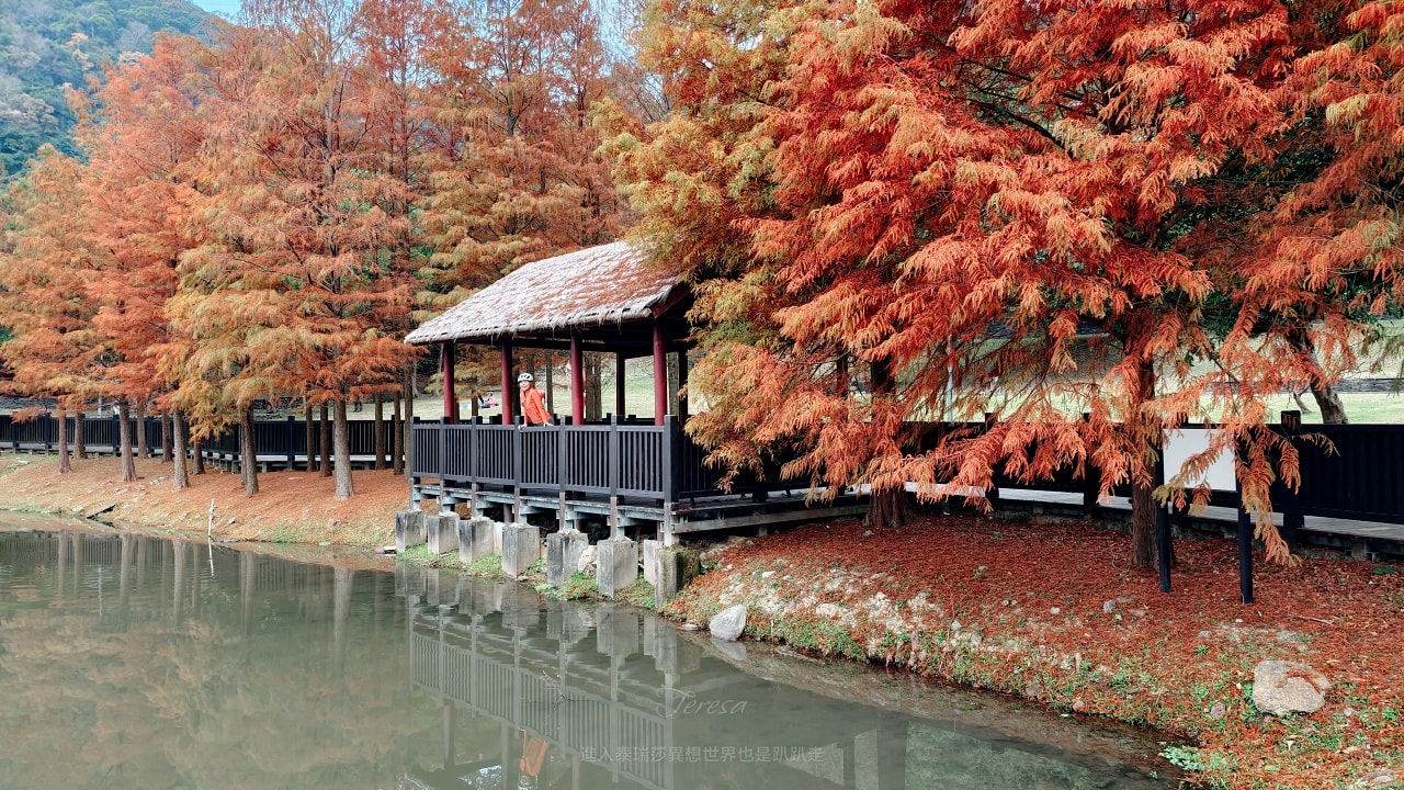 |台北落羽松景點|0元免費看隱藏於故宮旁原住民文化主題公園的落羽松祕境,交通超級方便的~ - 第16張圖 |台北落羽松景點|0元免費看隱藏於故宮旁原住民文化主題公園的落羽松祕境,交通超級方便的~