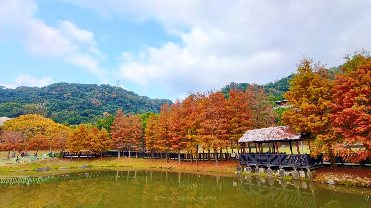 |台北落羽松景點|0元免費看隱藏於故宮旁原住民文化主題公園的落羽松祕境,交通超級方便的~ - 第3張圖 |台北落羽松景點|0元免費看隱藏於故宮旁原住民文化主題公園的落羽松祕境,交通超級方便的~